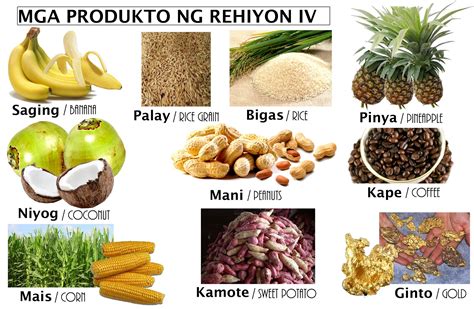 produkto ng lalawigan ng cavite|GRADE IV REHIYON IV.
